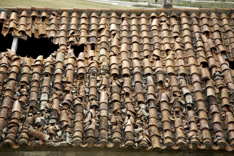 Tile Roof Inspection